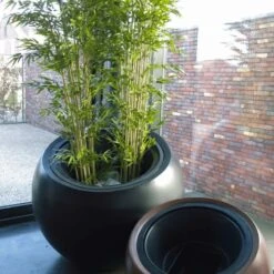 Jardinière Boule Maximo Papi - 580 L Avec Ou Sans Contre Bac -Art-Garden Boutique jardiniere boule maximo papi 580 l avec ou sans contre bac 4