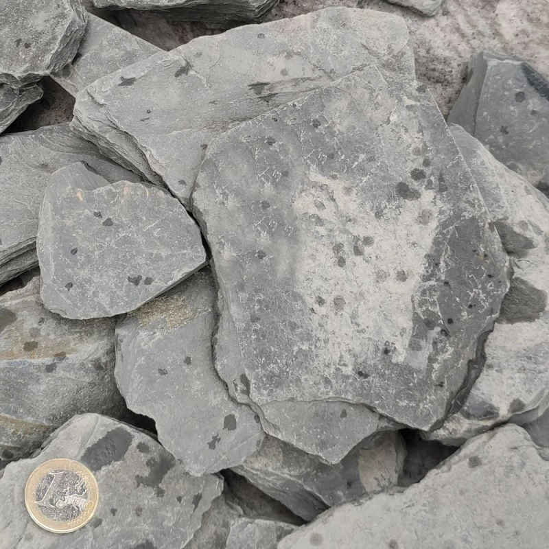 Paillettes D’ardoise Angers-Trélazé - 10/50 2 Paillettes D’ardoise Angers-Trélazé - 10/50 – Image 2