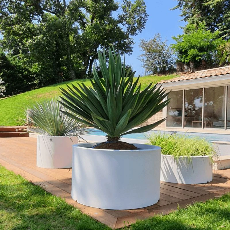 Pot Rodéo Papi 2 Pot Rodéo Papi – Image 2