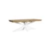 Table De Jardin Extensible 12 Places PALMDALE Blanc