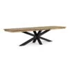 Table De Jardin Extensible 12 Places PALMDALE Carbone