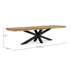 Table De Jardin Extensible 12 Places PALMDALE Carbone -Art-Garden Boutique table de jardin extensible 12 places palmdale carbone 2